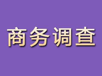 泾源商务调查